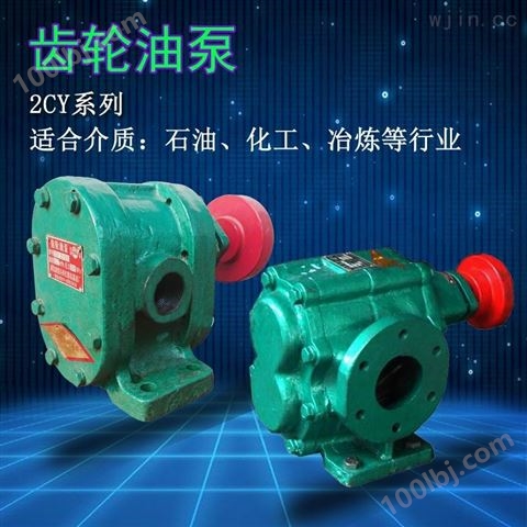 2CY系列高温油泵卧式齿轮油泵