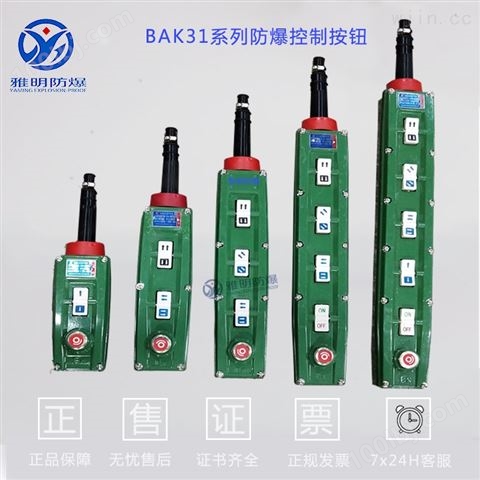 BAK63（BAK31）-四钮六钮八钮防爆控制按钮