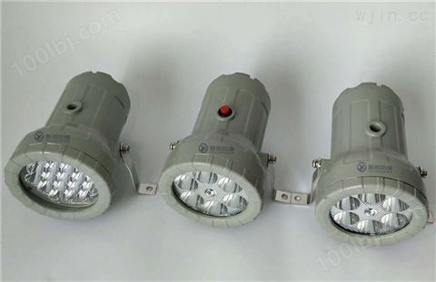 BSD96-5W220V防爆视孔灯（ⅡC）